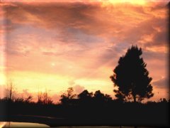 Amanecer en el campo - Pehuajó - Buenos Aires - Argentina