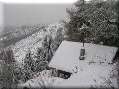 La Casa de Otto - Bariloche - Río Negro - Argentina