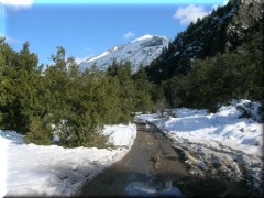 Camino al Casa de Piedra - Bariloche - Río Negro - Argentina