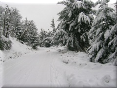 Camino cerro Otto - Bariloche - Río Negro - Argentina