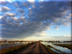 Camino zona rural Carlos Casares - Buenos Aires - Argentina