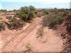 Río Talampaya - La Rioja - Argentina