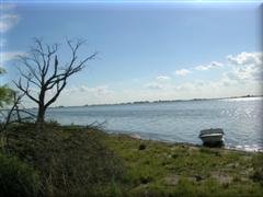 Laguna La Salada en Pehuajó - Buenos Aires - Argentina