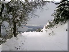 Camino cerro Otto - Bariloche - Río Negro - Argentina