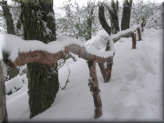 Cerro Otto zona refugio - Bariloche - Río Negro - Argentina