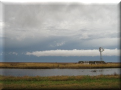 Tronco en zona lago Correntoso - Neuquén - Argentina