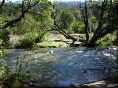 Río Lloconto, camino al Tronador - Río Negro - Argentina