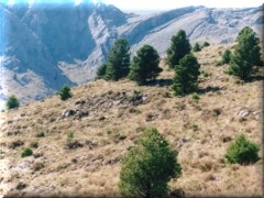 Contrastes de las sierras - Sierra de la Ventana - Buenos Aires - Argentina