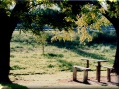 Tardecita desolada - Sierra de la Ventana - Buenos Aires