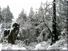 Nieve en cerro Otto - Bariloche - Río Negro - Argentina